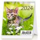 Kalendár Mini Kittens